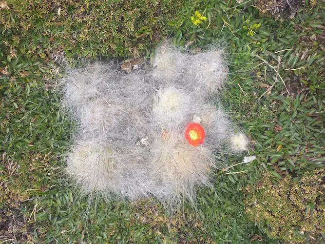 Estudios Ambientales