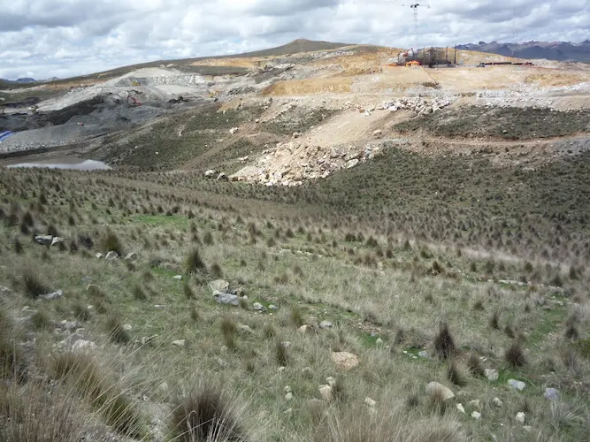 Gestión en Minería